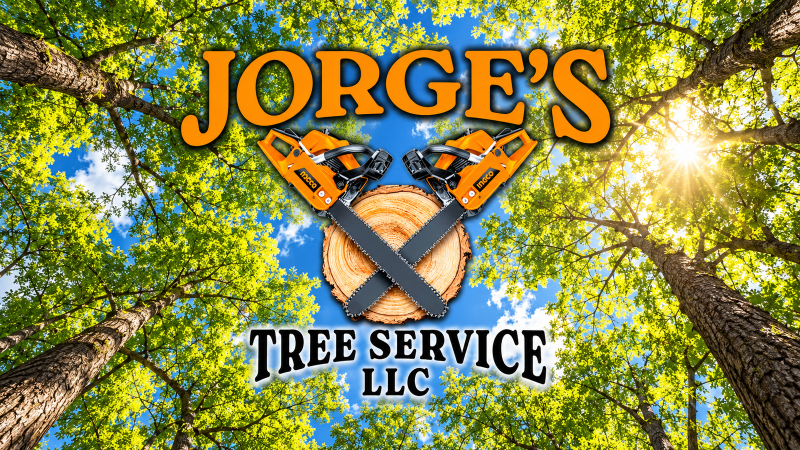 Jorge’s Tree Service LLC logo beneath a sunlit green tree canopy